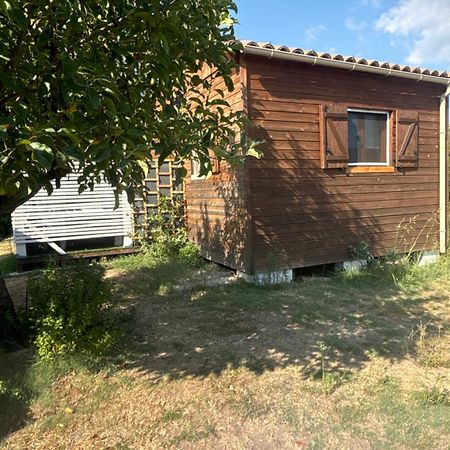 Le Chalet Pignantais Avec Option Jacuzzi Pignans Экстерьер фото